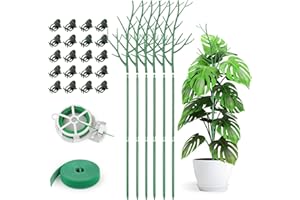 KAHEIGN 6 Pezzi Staccabili Pali di Supporto per Piante Ramoscelli, 100CM Bastoncini di Piante di Ramo Pali Rampicanti per Piante con Clip di Orchidee Cravatte a Spirale e Legami Vegetali