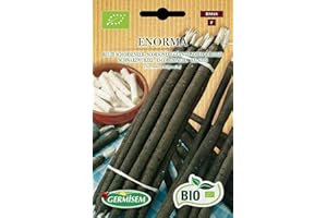 Germisem Orgánica Enorma Semillas de Salsify 2 g