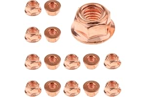WLVINSON 15 Piezas Tuerca Hexagonal M8 Colector de Escape,Cerradura de Cobre Hexagonales M8 x 1,25 con Tuercas de Escape,Tuerca Autoblocante Hexagonal Chapada en Cobre con Brida,Repuesto para Coche para E30