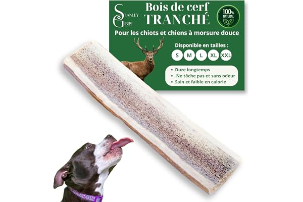 Bois de cerf pour Chien a Macher TRANCHÉ (1 pièce). Friandise pour Chiots et Chiens de Tout âges. Jouet Occupation. Jouet de Mastication. Soins Dentaire idéal (M)