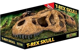 Exo Terra T Rex Skull,Brown