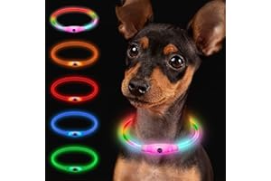Larkumio Collier Lumineux Chien Rechargeable, LED Colier Chien Longueur Ajustable pour Chiot Chat Petit Grand Chien, Collier Fluorescent Chien avec 4 Modes d'éclairage Imperméable, Multicolore