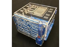 ANT GRAPE humidité de Bricolage Grand 9color Disponible avec nid de fourmilière, Fourmi Acrylique, fourmilière Acrylique (Blue)