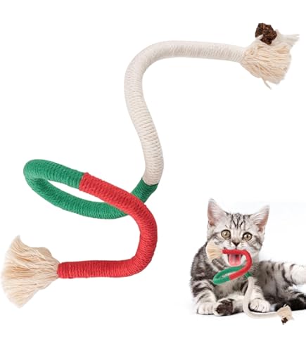 Katzenminze Spielzeug Set - Raupe, Beißseile & Minze Sticks Für Selbstbeschäftigte Katzen