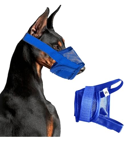 Quesuc Museruola Morbida Per Cani Taglia Media – Traspirante, Regolabile, Evita Morsi E Abbai