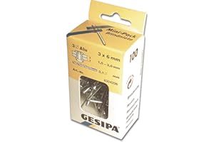 Gesipa Blindniete Mini-Pack 100 Stück (Alu/Stahl 3x8, Nietschaft-ø 3 mm, Scherkraft 700 N, Zugkraft 900 N, Flachrundkopf) 1433531