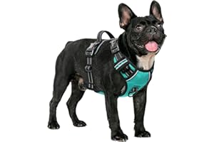 HEELE Arnes para Perro Pequeño Antitirones Transpirable con Asa Acolchado y Líneas Reflectantes, Confort, Arnés Pecho Ajustable, Arnés para Perros 3 Hebillas de Liberación Rápida, Turquesa, S