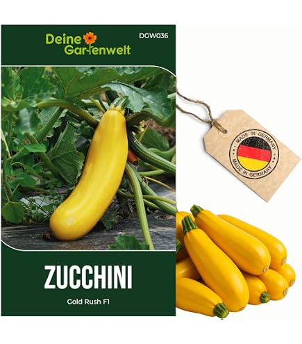 sprossen saatgut Bio Radieschen Sprossen Samen kaufen  Bio-zertifiziert