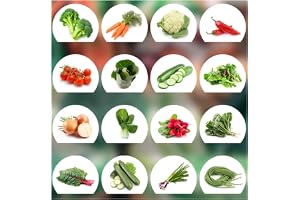 Prademir Vegetable Seeds Set - 16 grönsakssorter från Portugal | 100% naturliga frön (inga kemikalier, ingen genteknik, inga konstgjorda tillväxthjälpmedel)