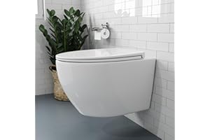 HOROW Wand WC Keramik Hänge WC Set Toiletten mit abnehmbaren Deckel sitz mit Absenkautomatik Hängetoilette, D-Form, kompakte Design Toilette Gästebad, 52 cm