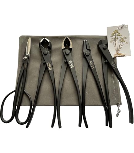Wazakura Japanse Set Schaar Pincet Hark Bezem Starter Wazakura Saftradierer Für Bonsai-Gartengeräte Made In Japan Schmutzradierer S0qa50uq Tool Kit For Beginners