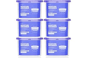CLEVAST 6 Pezzi Deumidificatore casa muffa, Assorbitore di Umidità per Ambienti, Neutralizzatore di Odori, Deumidificatore per Cucina, Armadio, Bagno e Studio