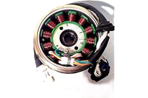 CASABIKE Lichtmaschine 125ccm GY6 BAOTIAN JMSTAR ZNEN YIBEN YIYING 12Phase Retro Roller