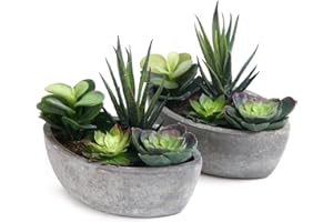 ‎T4U T4U Kunstpflanze mit Topf Künstliche Sukkulenten Grün 2er-Set, Deko für Wohnung Büro Bad Fensterbank Hotel Restaurant Hochzeit