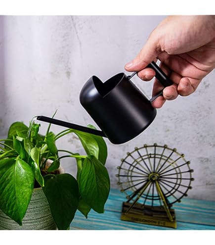 Arrosoir Décoratif 1 Litre - En Acier Inoxydable Noir Avec Poignée En Bois - Col De Cygne Pour Arrosage Précis - Pour Plantes D'intérieur Et D'extérieur
