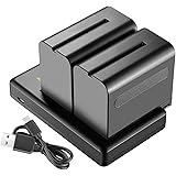 Neewer 2-Pack 6600mAh Li-Ion Batteria di Ricambio con Caricatore USB, Compatibile con Sony NP-F970 F960 F950 F770 F750 F570 F
