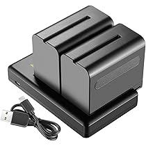 Neewer Kit 2 Batterie NP-F750 5600mAh Con Caricabatterie Doppio - Compatibile Sony Handycam E Fotocamere