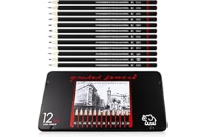 12 Crayons Dessin Professionnel, LAMXD Crayon Papier 8B 7B 6B 5B 4B 3B 2B B HB F H 2H Ecriture Douce Croquis Crayon Papier Dessin, Adaptée aux Enfants, Adultes et Artistes Débutants