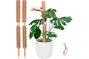 Pisol Moosstange für Pflanzen Monstera, ausziehbare Pflanzenstäbe, Pflanzstäbe für Topfpflanzen, 39,5 cm Kokosfaser, Pflanzengitter für Sphagnum, Pothos und andere Kletterpflanzen (4 Stück)