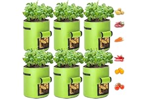 Airsnigi 10 Gallon Potato Grow Bags,6 Pack Plant Growing Bags Breathable Garden Growing Bag Planting Tomatoes, Vegetables, Strawberry with Window Flap and Handles,Green