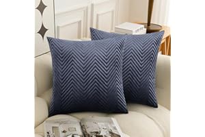 BedLooms Charcoal Velvet Cushion Covers 45 x 45 cm (Pack of 2) Unique Ultrasonic Cushion Cover Decorative Square Throw Pillow Case for Sofa Living Room Couch with Invisible Zipper (18 x 18 Inch)