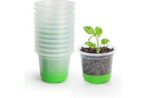 MIXC Pots de Pépinière Réutilisable,12 Pièces 10cm Pot de Fleur Plastique Transparents Godets Semis avec Base en Silicone Pots de Culture pour Plantes,Vert