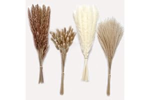 MUAEEOK 75Pcs Pampas Grass Boho Home Decor, Natural Dried Carefully Hand-Picked Fluffy Pompas Grass 17", White & Brown Pampas Grass, Reed, Bunny Tails for Flower Arrangements Boho Wedding Home Décor