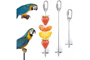 iTGOOS 2Pcs Parrot Skewer Feeder,Stainless Steel Parrot Fruit Stick Holder,Bird Food Holder,Birds Foraging Toy for Parrots Cockatoo Cockatiel Cage