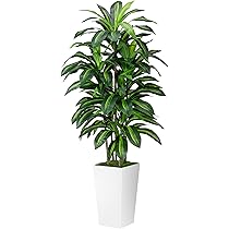 Albero Artificiale Uccello Del Paradiso 122 Cm - Pianta Finta Di Banana Con 8 Tronchi In Vaso, Decorazione Per Interni/Esterni, Soggiorno, Ufficio - 4
