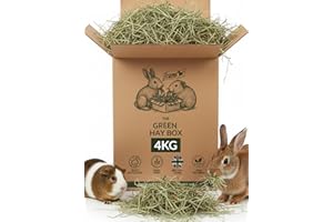 Fearns Farm Rabbit & Guinea Pig Hay Box – 4KG - Timothy Hay for Guinea Pigs, Tortoises, Horses, Alpacas & Small Pets - Organic Fresh Green, First Cut, Dust Extracted, High Fibre, UK Farmed