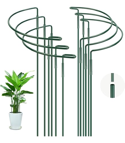 KADAX Pflanzensttze 100 cm, 1 Stck, Blumensttze aus Stahl,  Pflanzenhalter fr Topfpflanzen, Metallstab zur Stabilisierung von Stngeln  und Blten, Rankhilfe fr Pflanzen : Amazon.de: Garten