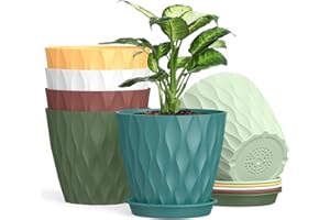 Homeuouz 12.5cm Plant Pots, 6 Pack Plastic Flower Pots with Drainage Holes and Saucers, Indoor Outdoor Planters for Succulent and All House Plants(Colourful)