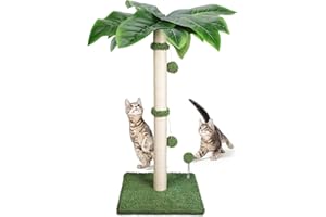 Hevol Tiragraffi per Gatti, 80 cm, Albero per Gatti in Sisal Naturale, con 2 Palline Interattive in Peluche per Gatti, Adatto ai Gattini Interni e Alle Grandi - Verde/Quadrato Base
