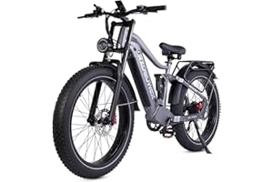 RZOGUWEX Electric Bicycle，26 Inch Off-Road EBIKE for Adults with 48V 25AH Detachable Lithium Ion Battery, 7 Speed with Dual Shock Absorbers and Dual Hydraulic Disc Brake(Black)