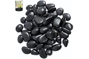 VIQIHEOE Galets, 2-4 cm Galets Noir de Jardin, 1kg Pierres Décoratives, Pierres de Rivière Plantes, Galets Décoratifs Polis, pour L'aménagement Paysager, la Décoration de la Maison, les Projets Artistiques