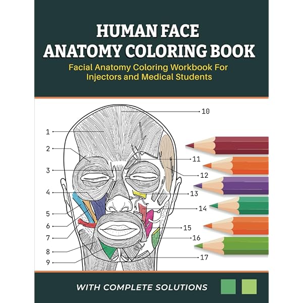 Clinical Anatomy of the Face for Filler and Botulinum Toxin