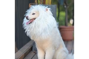 Onmygogo Parrucca da criniera di leone per cani con orecchie, divertente costume per animali domestici, per Halloween e Natale (L, bianco)