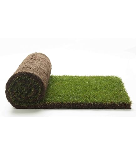 Prato Naturale A Rotoli - 15 Mq Di Erba Vera Per Giardino (30 Rotoli), Non Sintetico - Foto 6