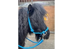 EQUIPRIDE Rope headcollar with Reins for use of Bitless Horse Riding Full to Mini Shet 5 Colours (Sky, Mini Shetland)
