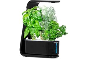 AeroGarden Sprout Indoor Hydroponic Herb Garden - Black (2020 Model)