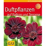 Duftpflanzen für Balkon und Terrasse
