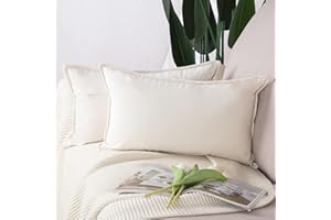 Madizz 2 Pezzi Federe in Velluto Copricuscini Morbido Decorativo Fodere per Cuscino Lusso Stile per Divano Camera da Letto Bianco Rettangolare 30x50 cm