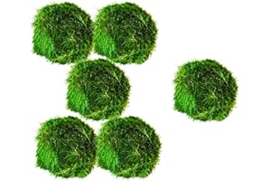 PARTY IN MY PLANTS Marimo Moss Balls Aquarium Aquatic Plant Easy Betta Shrimp Java (5 +1 Free)