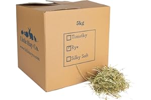 THE LITTLE HAY CO. Little Hay Co Classic Cotswold Sweet Hay | Eco Box | Clean, Green, Fresh & Fragrant! | Rabbits, Guinea Pigs, Hamsters, Degus | (5kg)