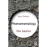 Phenomenology: The Basics