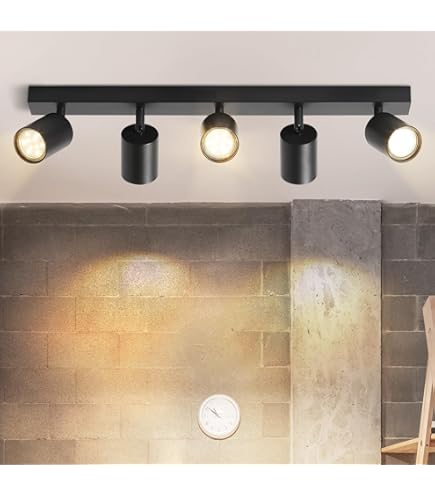 Ceiling Lamps - Buy desinger Ceiling Lamps online here
