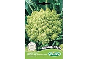 Germisem Romanesco Semi di Cavolfiore 2 g