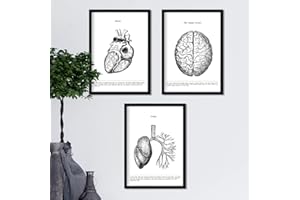 Nacnic Set de 3 affiches anatomiques. Décoration murale de style vintage de cerveau, coeur et poumons. Assortiment de photos en noir et blanc de l'anatomie humaine et des parties du corps. Taille A4.