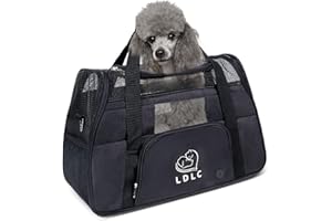 PETCUTE Trasportino per Cani e Gatti, Trasportino Cane per Gatto Portabile e Traspirante, Borsa Gatto Oxford Morbido con Guinzaglio Interno di Sicurezza, Tappetino Rimovibile Fino a 8kg Nero
