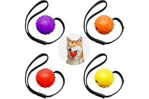 SKYLETY 4 Palla Cani su Corda Palla da Addestramento Interattiva Cani Ricompensa e Esercizio Giocattolo per Cani di Taglia Piccola Medio Larga che Vanno a Prendere, Prendere, Lanciare e Tirare